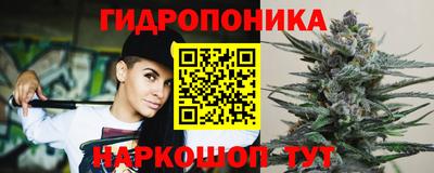 МДПВ Будённовск